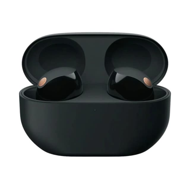 Sony WF-1000XM5 Wireless Noise Cancelling Headphones