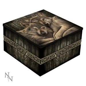 Mirror Box Loyal Companion