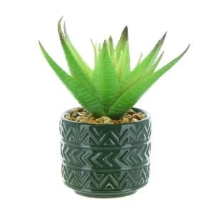 Spikey Succulent in Ceramic Pot with Aztec Design Green 14cm