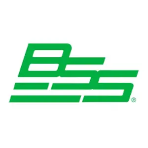 BSS logo