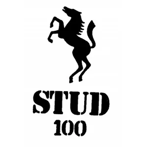 Stud 100 logo