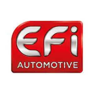 EFI Automotive logo