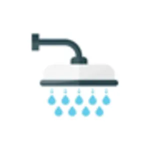 Shower Heads Category Image