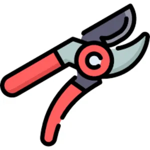 Shears Category Image