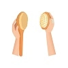 Body Brushes Category Image