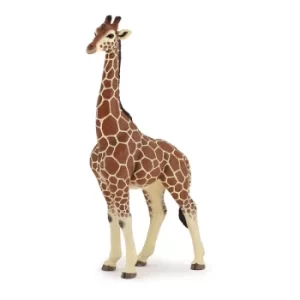 PAPO Wild Animal Kingdom Giraffe Male Toy Figure, Three Years or Above, Multi-colour (50149)