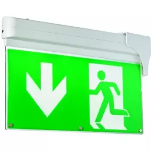 Loops - 4 in 1 Fire Exit Emergency Ceiling / Wall Pendant Light 1W LED Suspended Escape