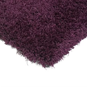 Asiatic Diva Rug 200x300cm - Purple