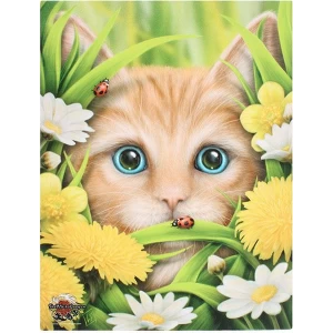 Small Summer Cat Canvas Picture by Linda Jones