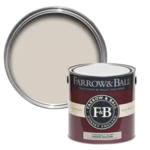 Farrow & Ball Modern Stirabout No. 300 Matt Emulsion Paint, 2.5L