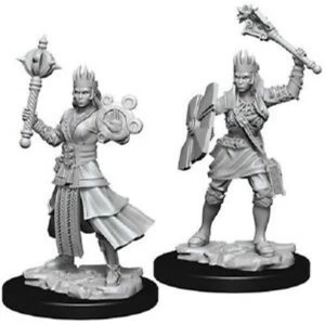 Dungeons & Dragons Nolzur's Marvelous Unpainted Miniatures - Female Human Cleric