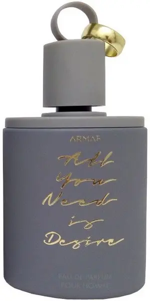 Armaf All You Need Is Desire Eau de Parfum For Him 100ml