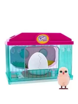 Little Live Pets Surprise Chick Hatching House Playset