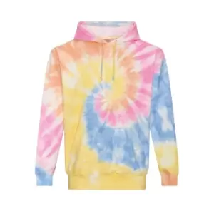 Awdis Unisex Adult Tie Dye Hoodie (L) (Tie Dye Swirl)