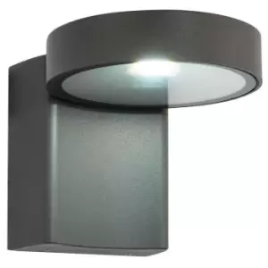 IP44 Outdoor Adjustable Round Wall Light Dark Anthracite 10W Cool White LED