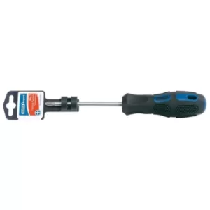 Draper Expert 40019 No. 2 x 100mm Cross Slot Screwdriver (display P...