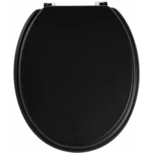 Matt Black Toilet Seat - Premier Housewares