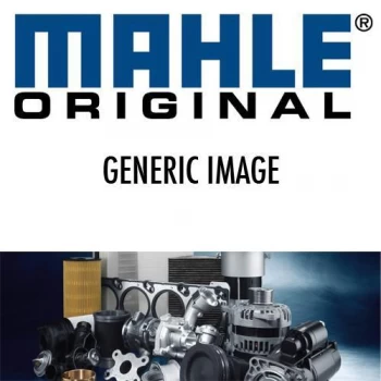 Mahle Pollen - Carbon Lak888 Replaces Cfa11643 Wp2088