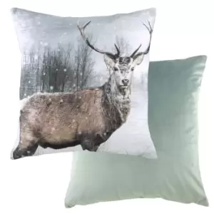 Photo Stag Cushion Multicolour