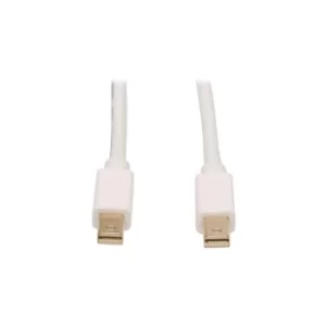 Mini DisplayPort Cable 4K 60Hz 6ft