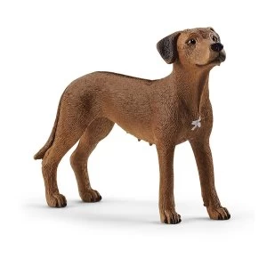 Schleich Farm World - Rhodesian Ridgeback Figure