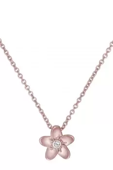 Ted Baker Ladies Jewellery BRADDIE Necklace TBJ3291-24-03