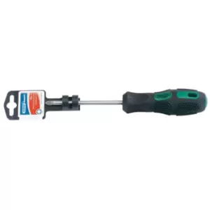 Draper Expert 40038 No. 2 x 100mm Pz Type Screwdriver (display Packed)