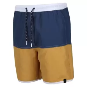 Regatta Benicio Swim Short - DkDn/GldStrw