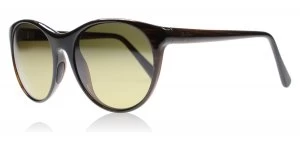 Maui Jim Mannikin Sunglasses Brown Stripe STG-SG Polariserade