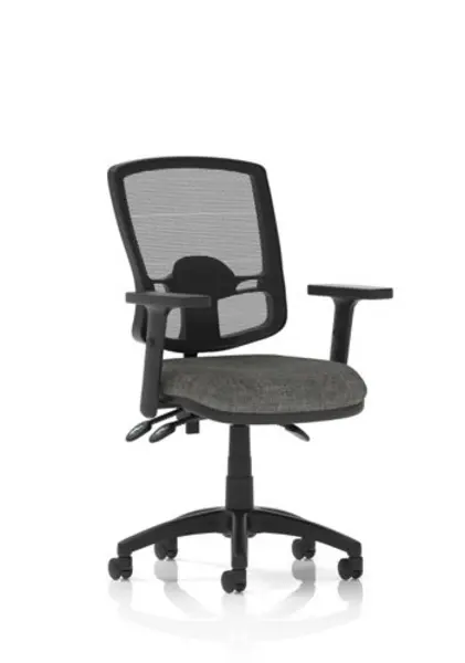 Eclipse Plus III Deluxe Mesh Back With Charcoal Seat With Height Adjustable Arms