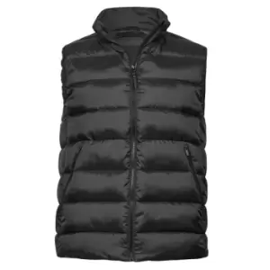 Tee Jays Unisex Adult Lite Body Warmer (XS) (Black)