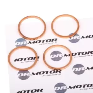 DR.MOTOR AUTOMOTIVE Heat Shield, injection system DRM063S FIAT,PEUGEOT,CITROEN,Scudo Kastenwagen (220_),Scudo Kombi (220_)