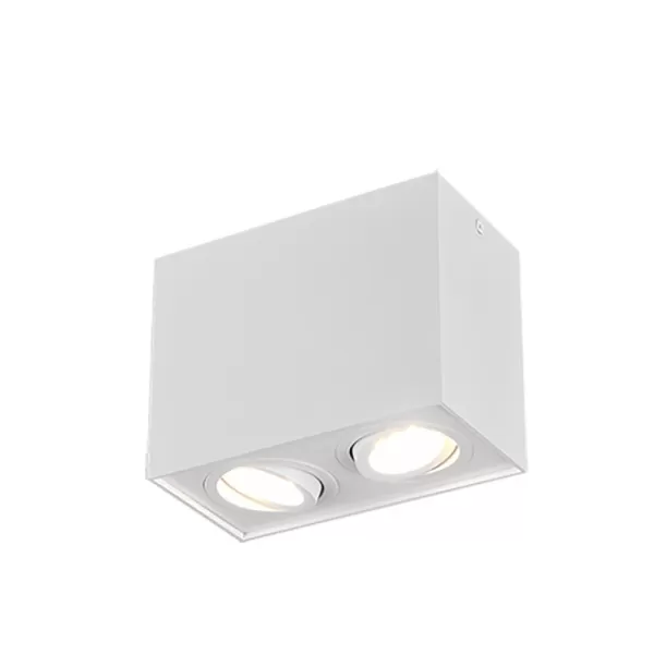 Biscuit Modern 2 Light Surface Mounted Downlight White Matt