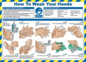 How To Wash Your Hands Poster 14616