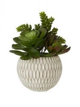 Premier Housewares Flori Mixed Succulent In Ceramic Pot