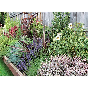 Garden On A Roll Wildlife Border Pack 10m x 60cm Plants