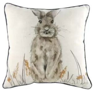 Oakwood Hare Square Cushion Multicolour, Multicolour / 43 x 43cm / Cover Only