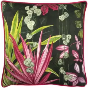 Paoletti Veadeiros Botanical Print 100% Cotton Cushion Cover, Pink, 43 x 43 Cm