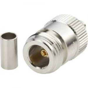 N connector Socket straight 50 Amphenol N6121A1 NT3G 1 50