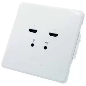 BirdDog Wallplate Dual Input