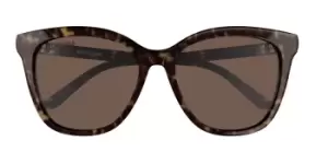 Balenciaga Sunglasses BB0183SA Asian Fit 002