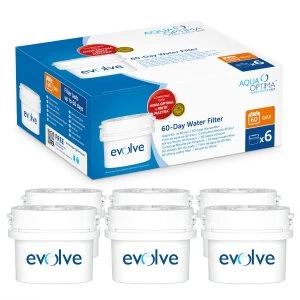 Aqua Optima Evolve 60 Day Water Filter