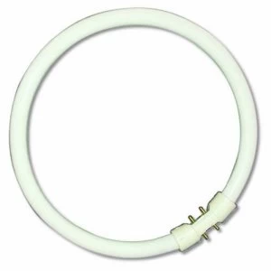 Bell 22W CFL T5 2GX13 Tube Circular Bulb - White