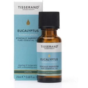 Tisserand Aromatherapy Eucalyptus Ethically Harvested Pure Essential Oil 9ml