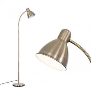 Flexi Neck Floor Lamp in Antique Brass