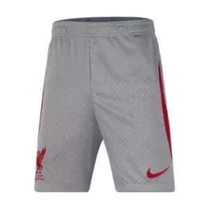 Nike Liverpool Strike Shorts Juniors - Grey