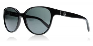 DKNY DY4117M Sunglasses Black 300187 55mm