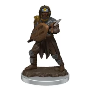 D&amp;D Icons of the Realms Premium Figures (W7) Male Human Fighter