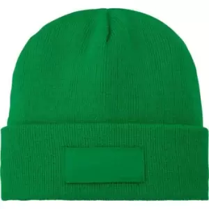 Bullet Boreas Beanie With Patch (One Size) (Fern Green)