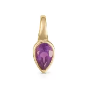 JG Signature Gold Plated February Birthstone Teardrop Pendant Charm